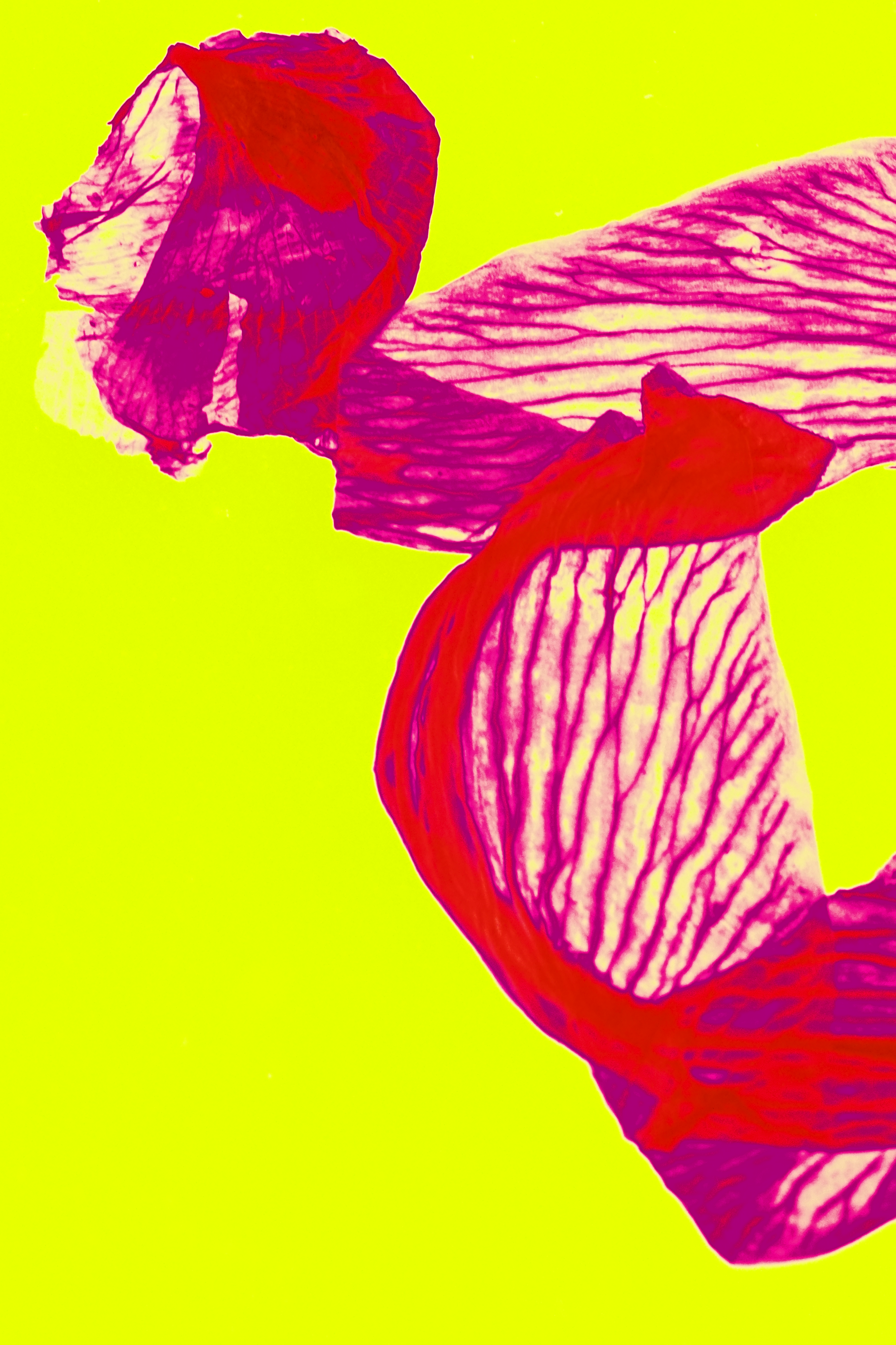 a1