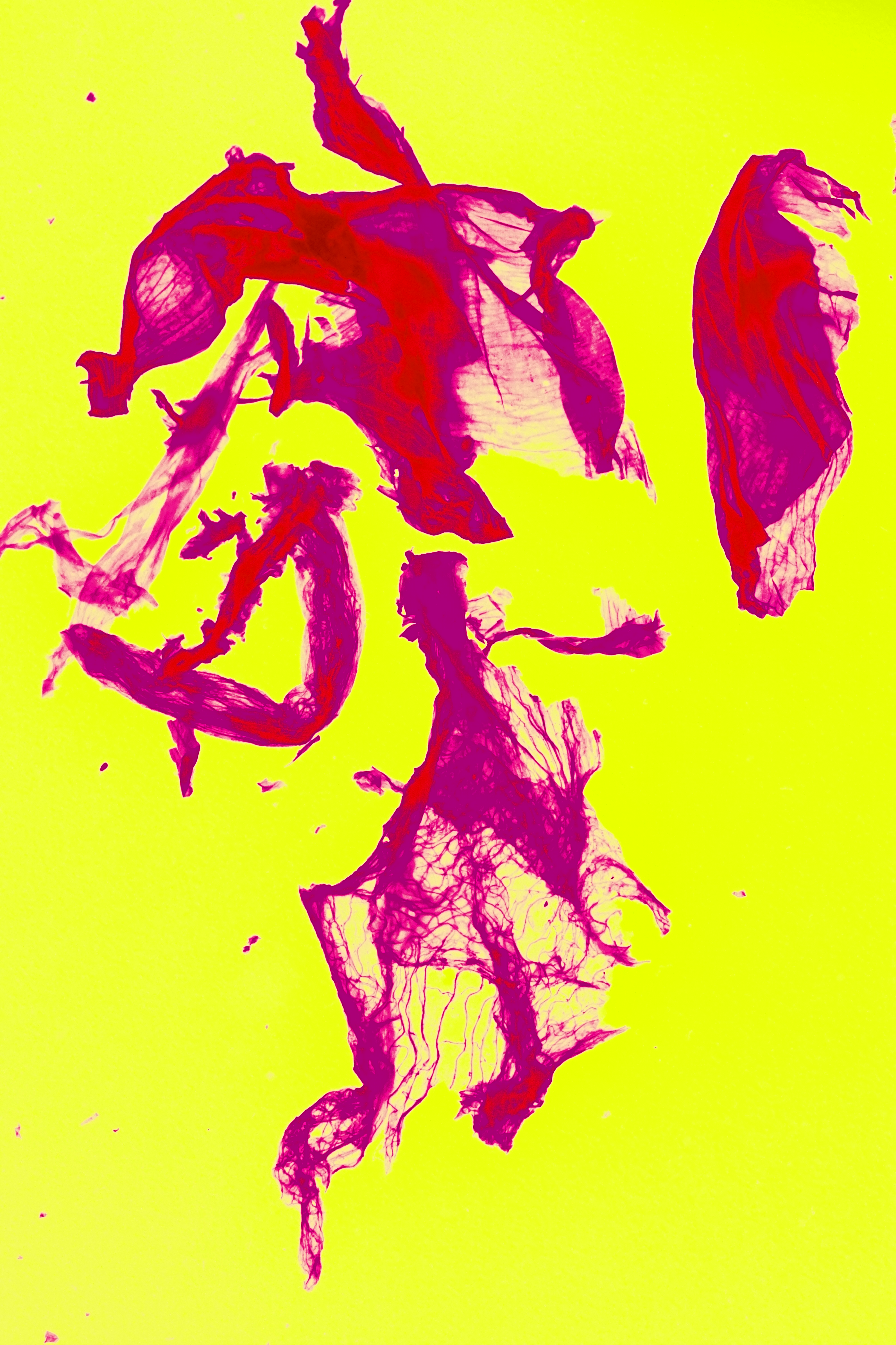 a4